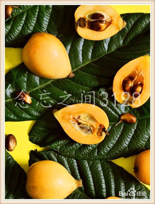 PM2.5来了,这个冬天如何清肺抗雾霾