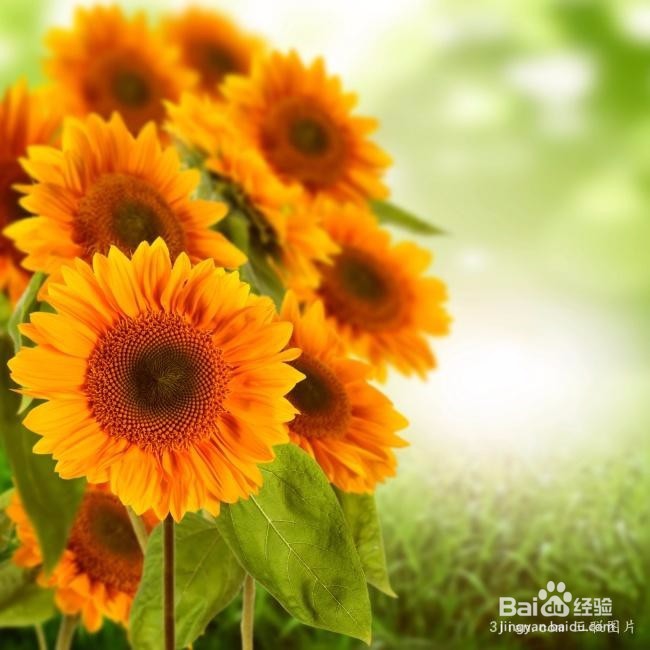 如何判断网上兼职