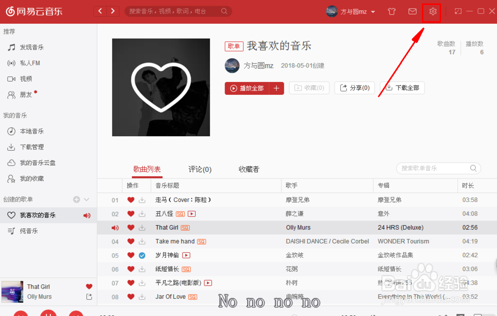 网易云音乐然后开启歌词翻译。