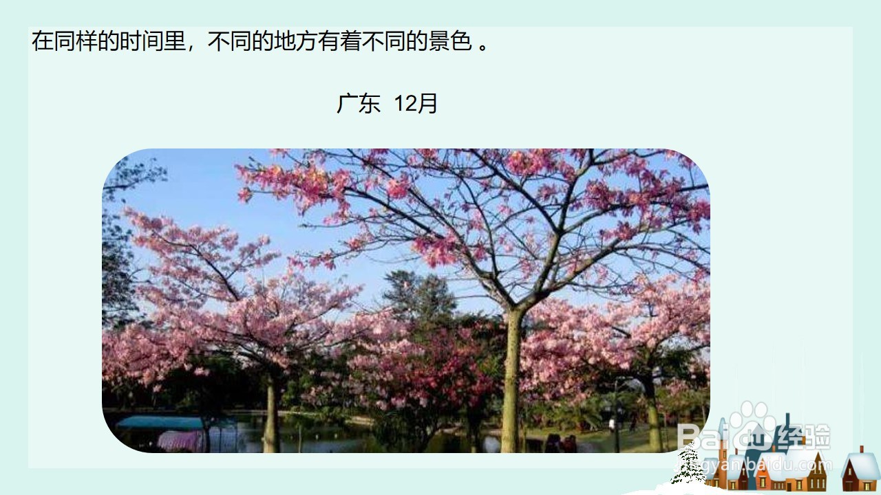幼儿园大班科学活动PPT