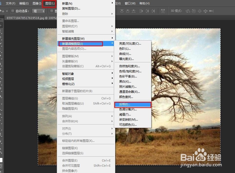 抠图1:如何用PS抠出大树