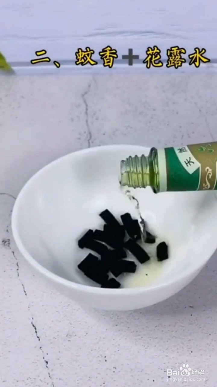 如何去除蟑螂蚊子苍蝇