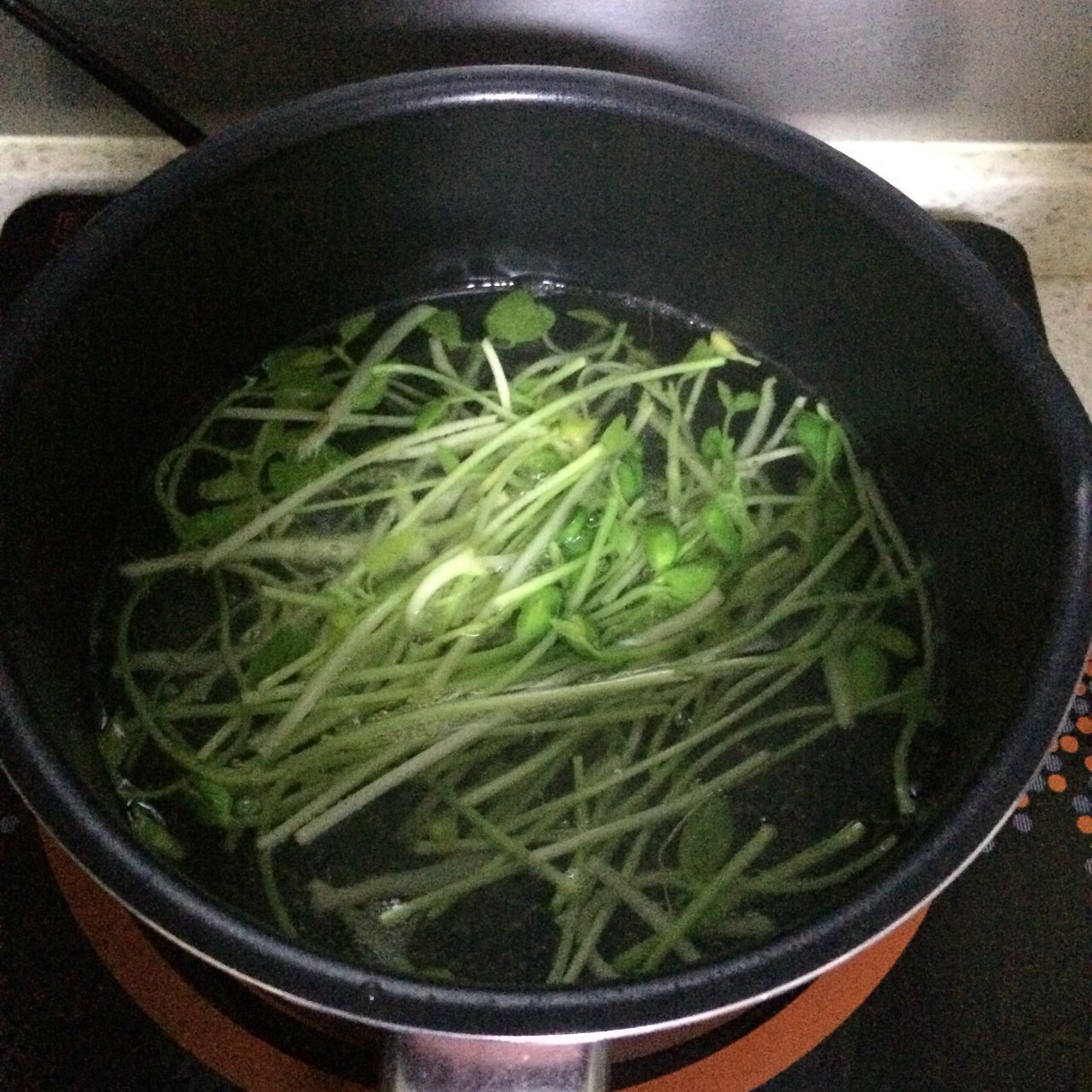 简单易上手凉拌小菜之自发(黑豆)豆芽的做法