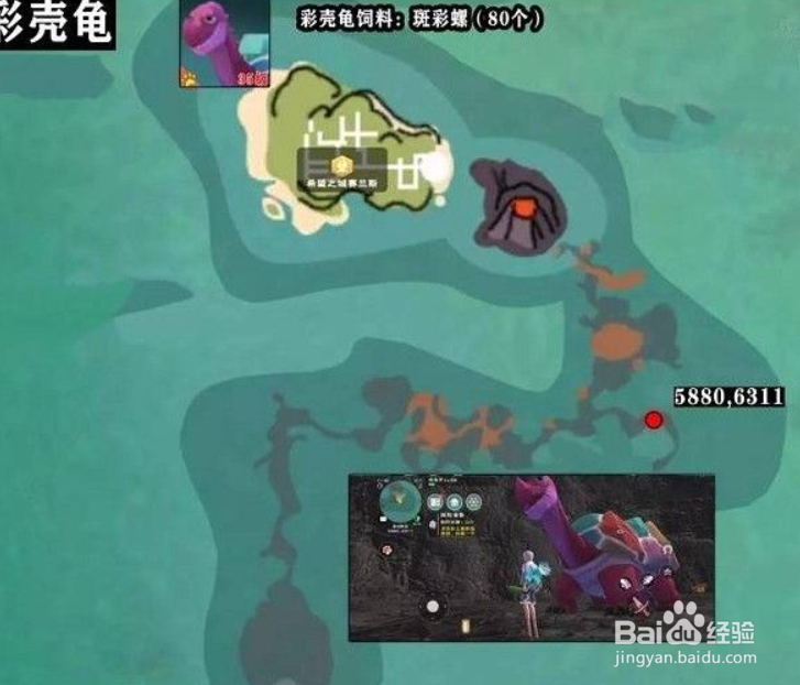 创造与魔法彩壳龟位置分布图攻略