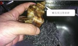 盛夏肥美时节——双椒拌螺丁