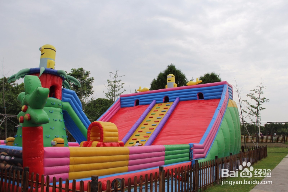 上海旅游攻略之周浦花海