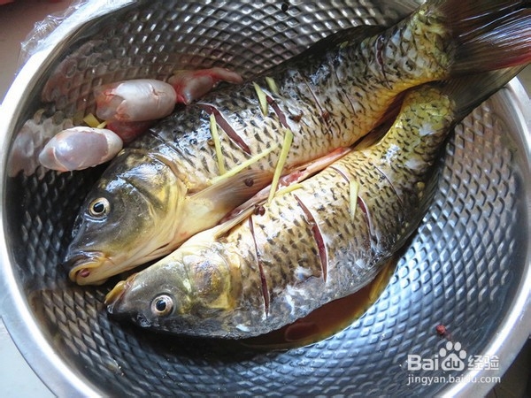 如何做出好吃美味的红烧鲤鱼
