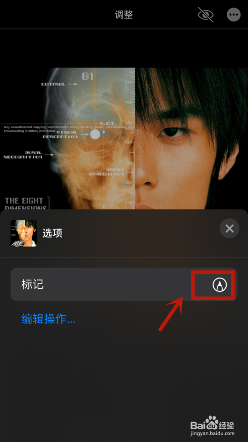 苹果相册放大镜怎么弄