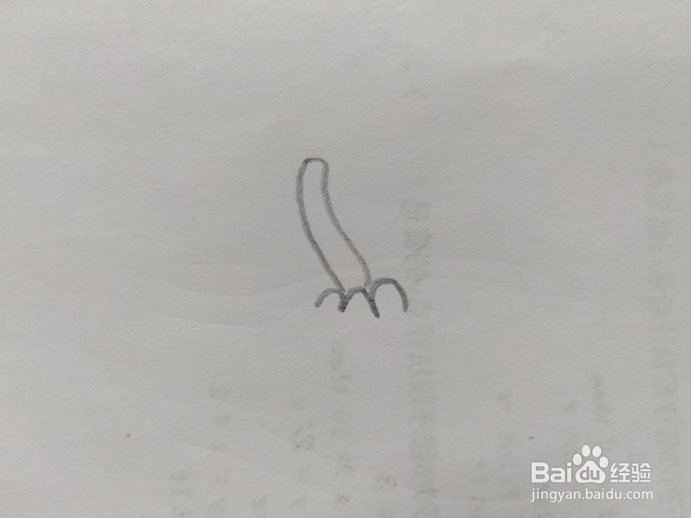 简笔画橘子画法6