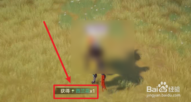幻塔手游怎么获得西兰花