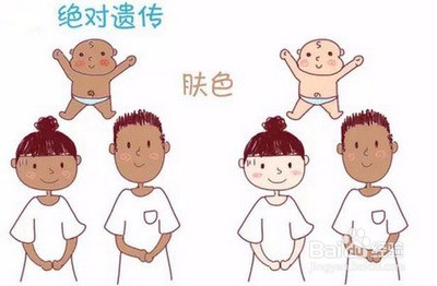 宝宝的长相、性格、智商由谁决定