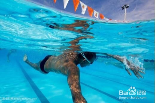 怎么学习自由泳 自由泳学习