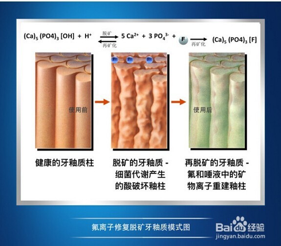 教你如何选购合适自己的牙膏?