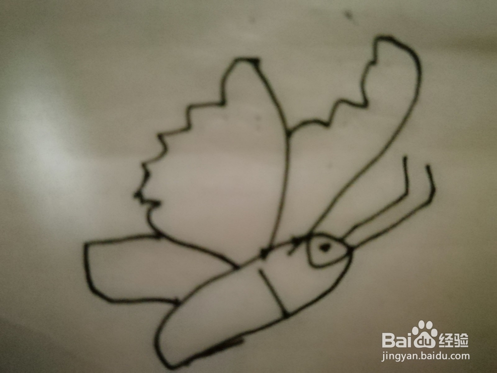 怎么样用简笔画画小的蝴蝶