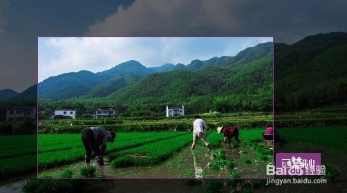 Edge怎么样剪裁网上图片 如何用edge浏览器截图