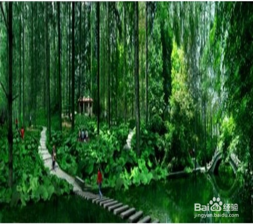 上海周边游攻略(千岛湖&森林氧吧)