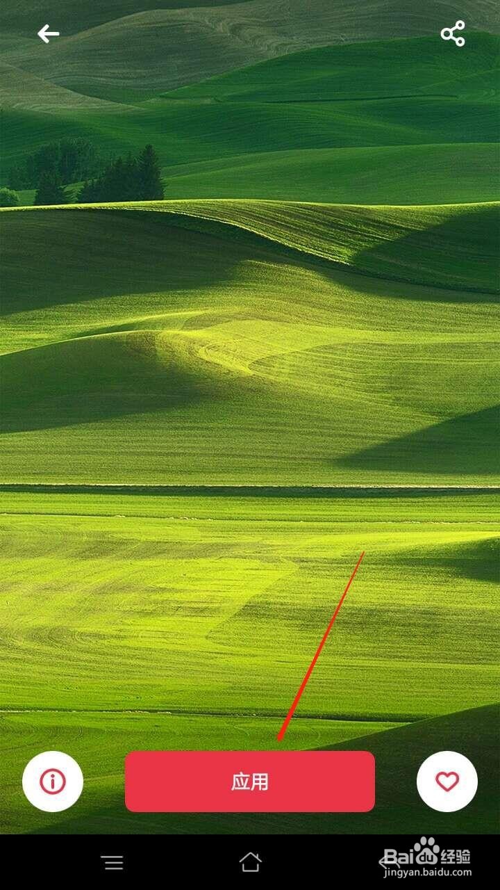 OPPO手机怎么更换壁纸