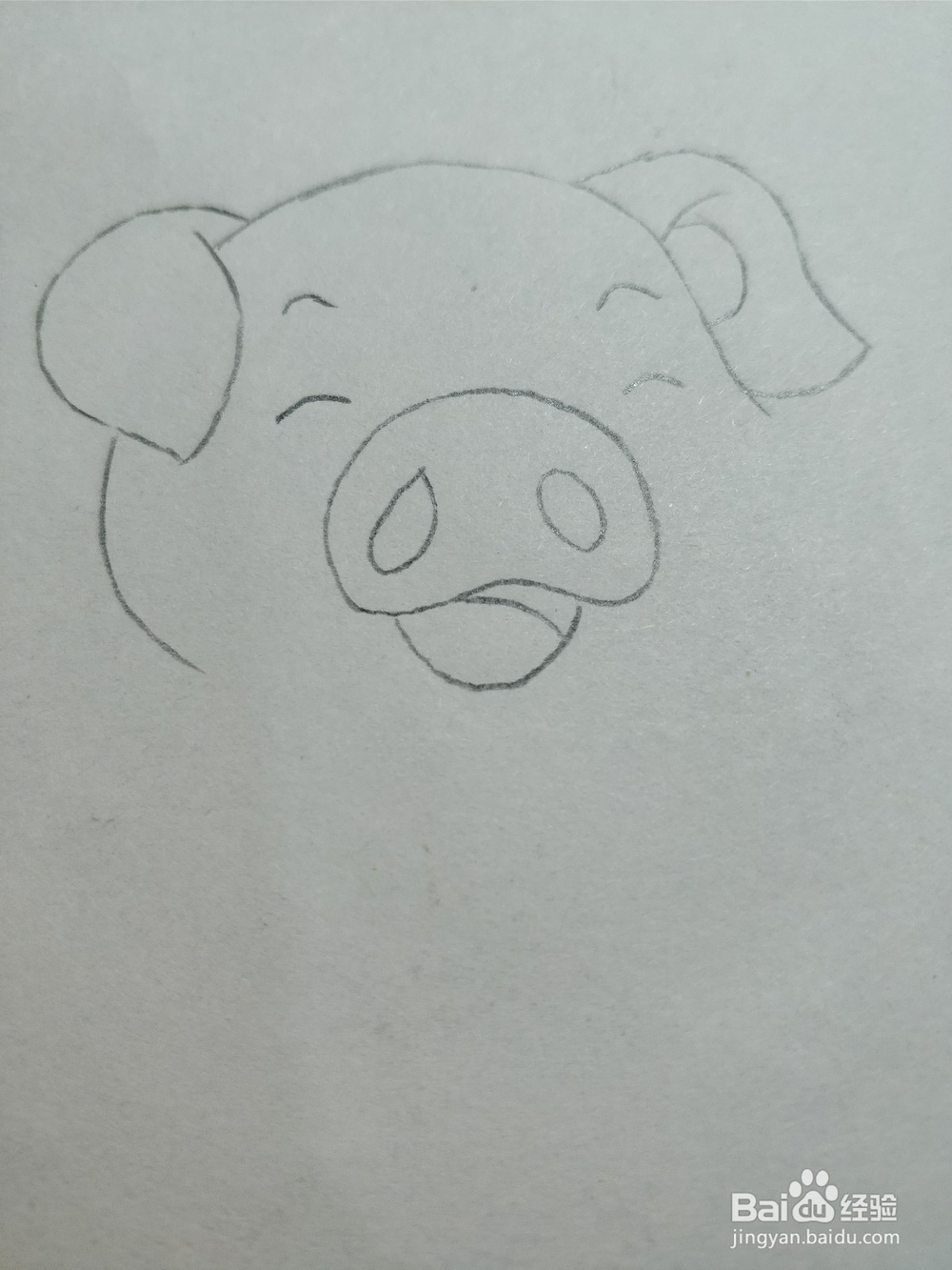 怎么画简笔画小猪