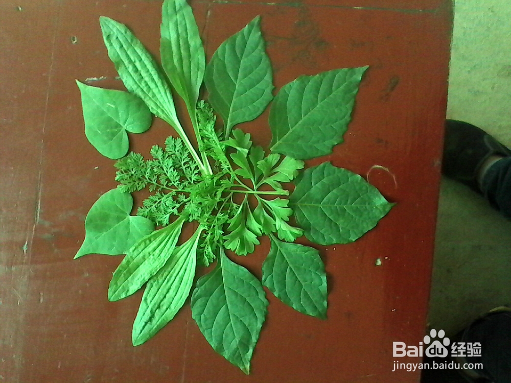 折纸剪贴画：[7]花花世界