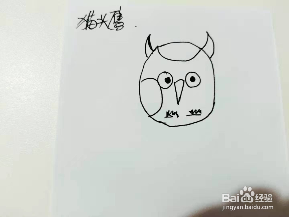 卡通猫头鹰简笔画怎么画呢