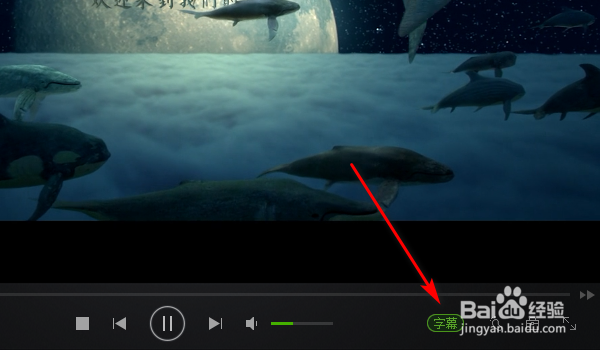 爱奇艺万能播放器字幕设置及调节方法