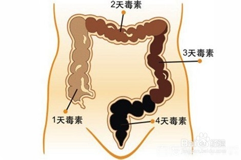 番薯叶是蔬菜中的战斗机