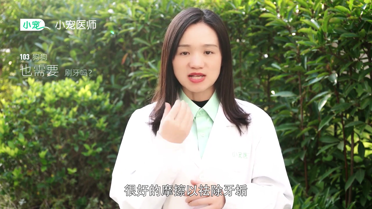狗狗需要刷牙吗
