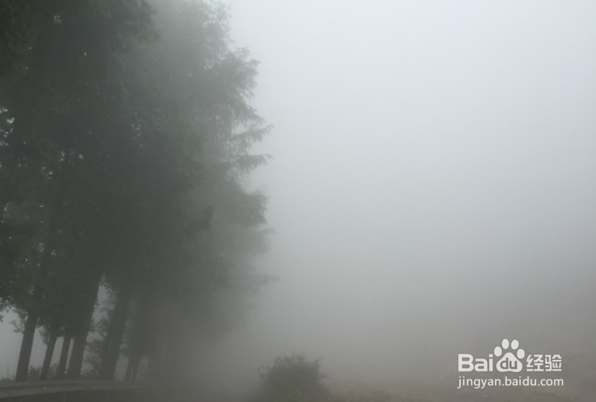 雾很大怎么形容