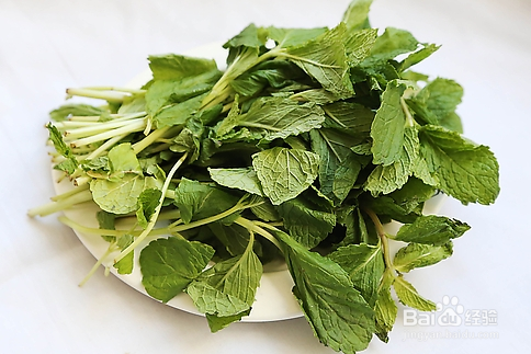 蒸蛋怎样弄最好吃