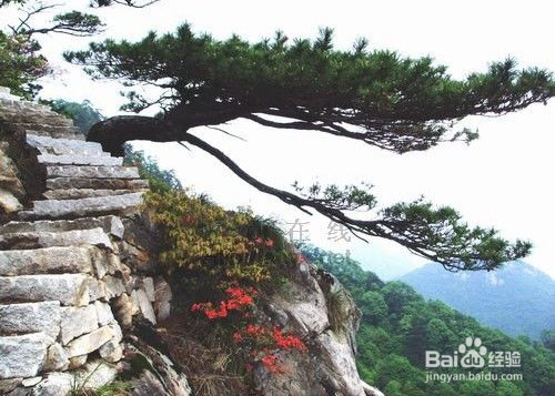 明堂山旅游攻略