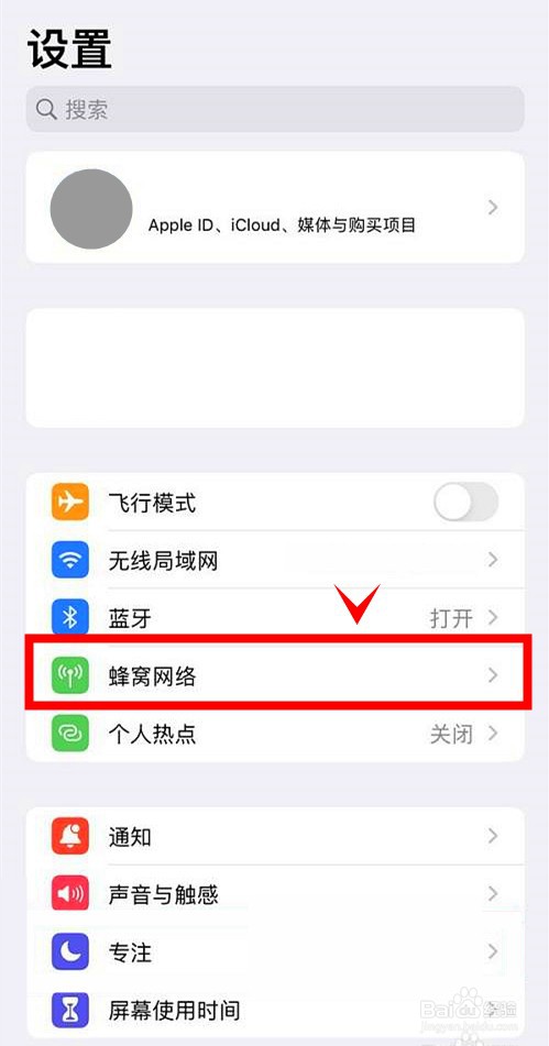 iphone13pro怎样开启5G
