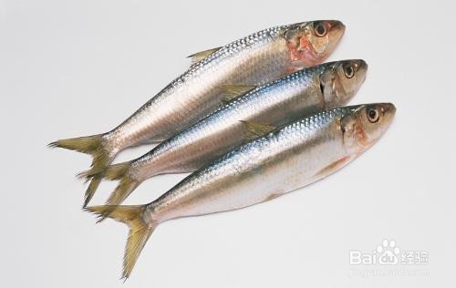 青少年食谱增高法