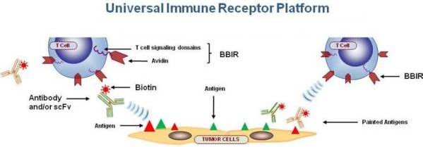 胃癌晚期的治疗方法有哪些