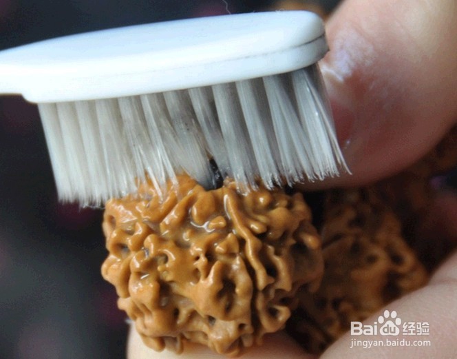 金刚菩提子如何保养和养护