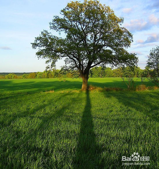 怎样写出一篇美文