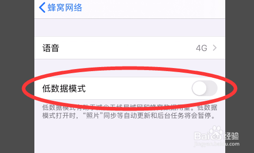 iPhone11如何开启低数据模式?