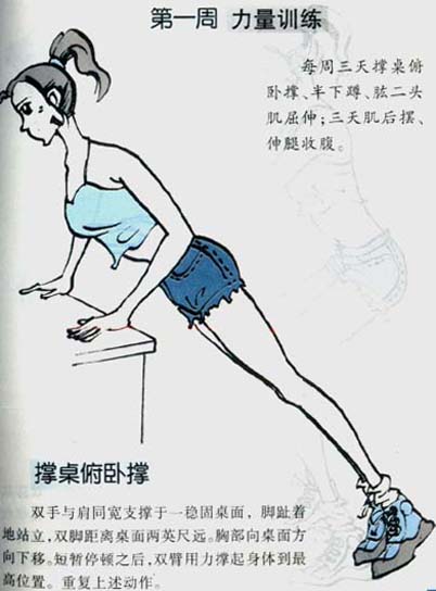 【健美】四周变身魔术之力量训练图解