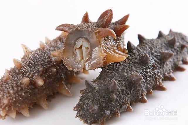 海参的滋补作用