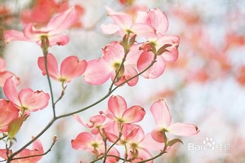 有没有可以摘抄下来的神仙句子?