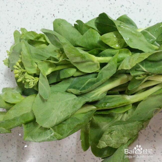 营养美味的河蚌菜苔明炉