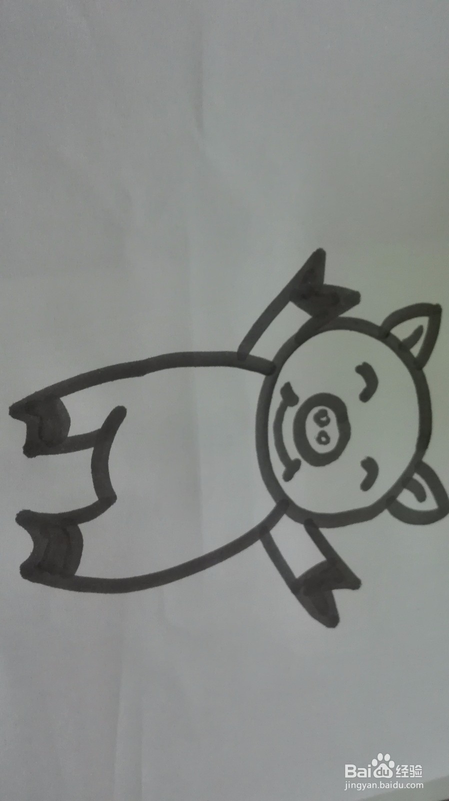 如何画出可爱的小猪