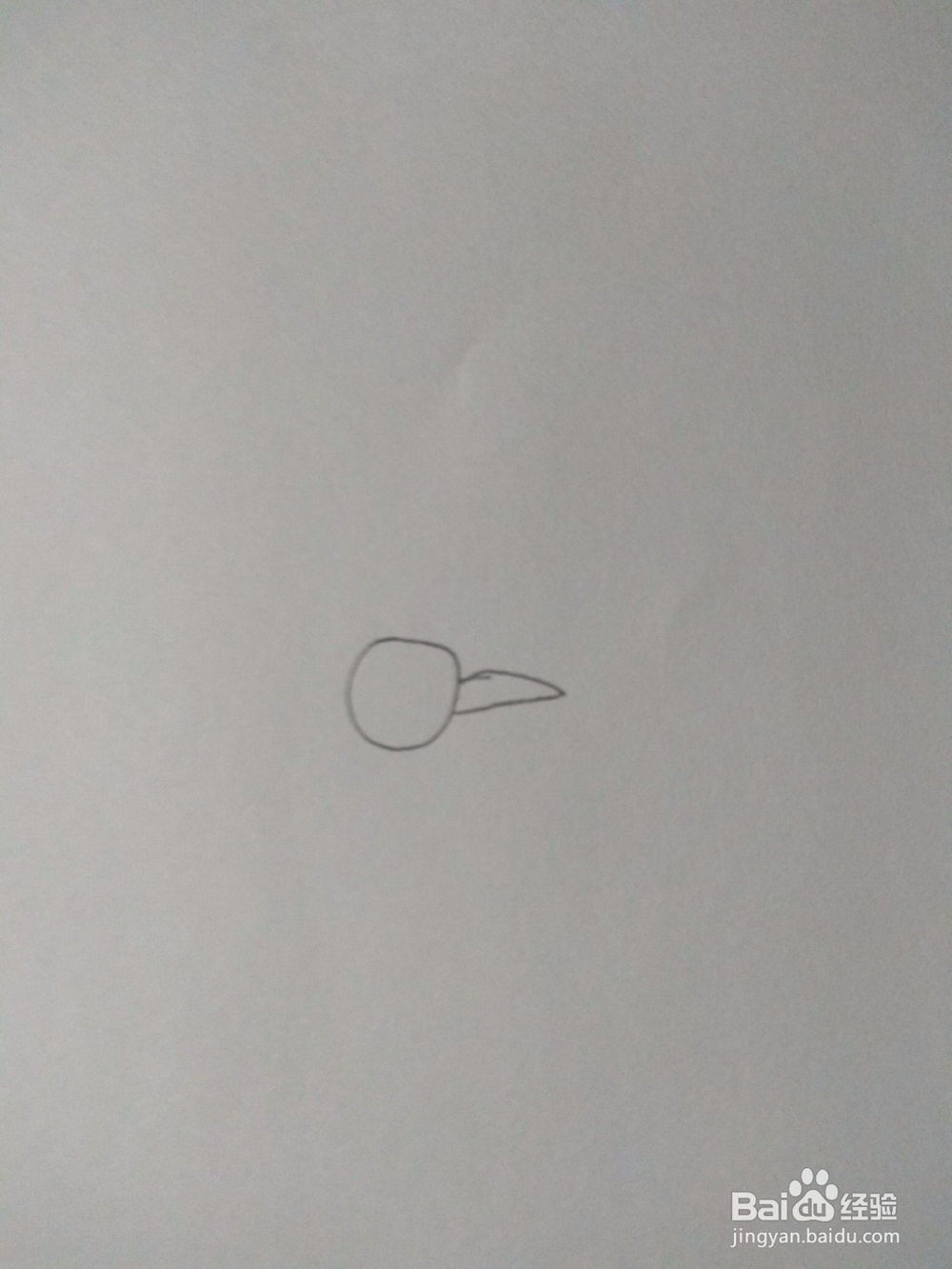 简笔画—画出一个啄木鸟