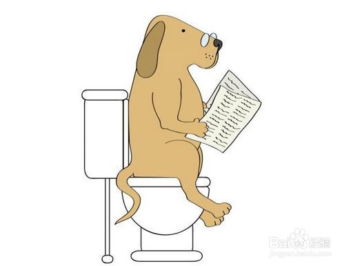 怎么引导狗狗定点大小便