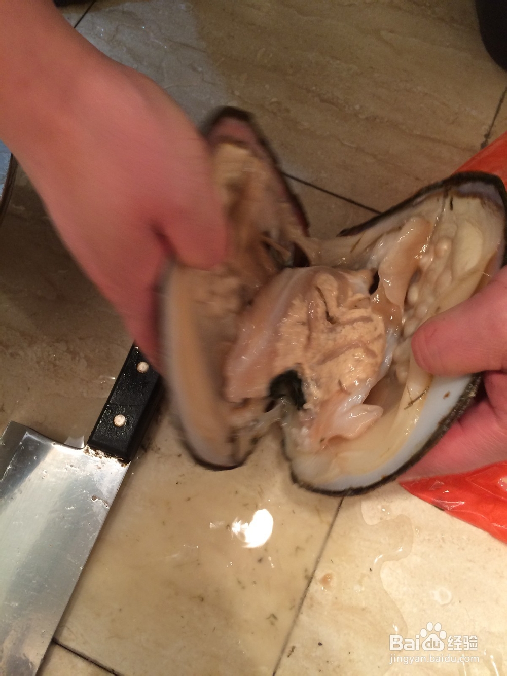 珍珠的取得过程