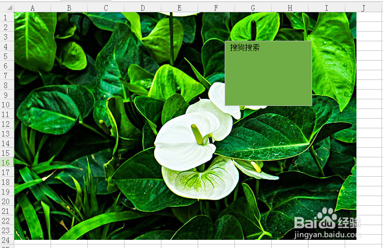 Excel表格如何在插入的图片上添加文字?