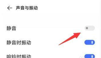 vivo手机怎么开启静音