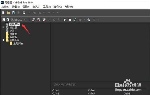VEGAS PRO视频怎样设置3D模式