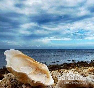 西沙群岛哪些地方是一定要打卡的呢?