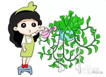 他养的花长到戳屋顶,咋养的