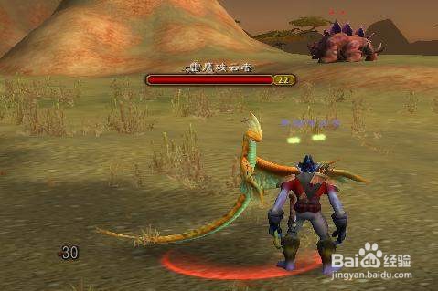 德鲁伊升级攻略